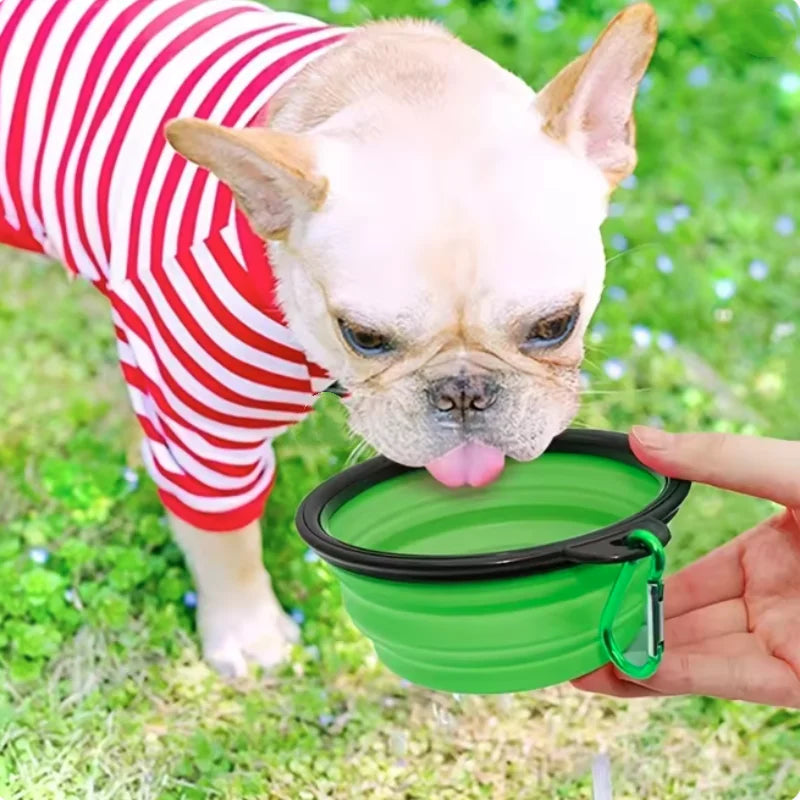 Collapsible Travel Pet Bowl