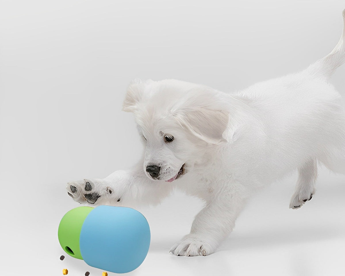 PawHaven™ Pet Food Toy
